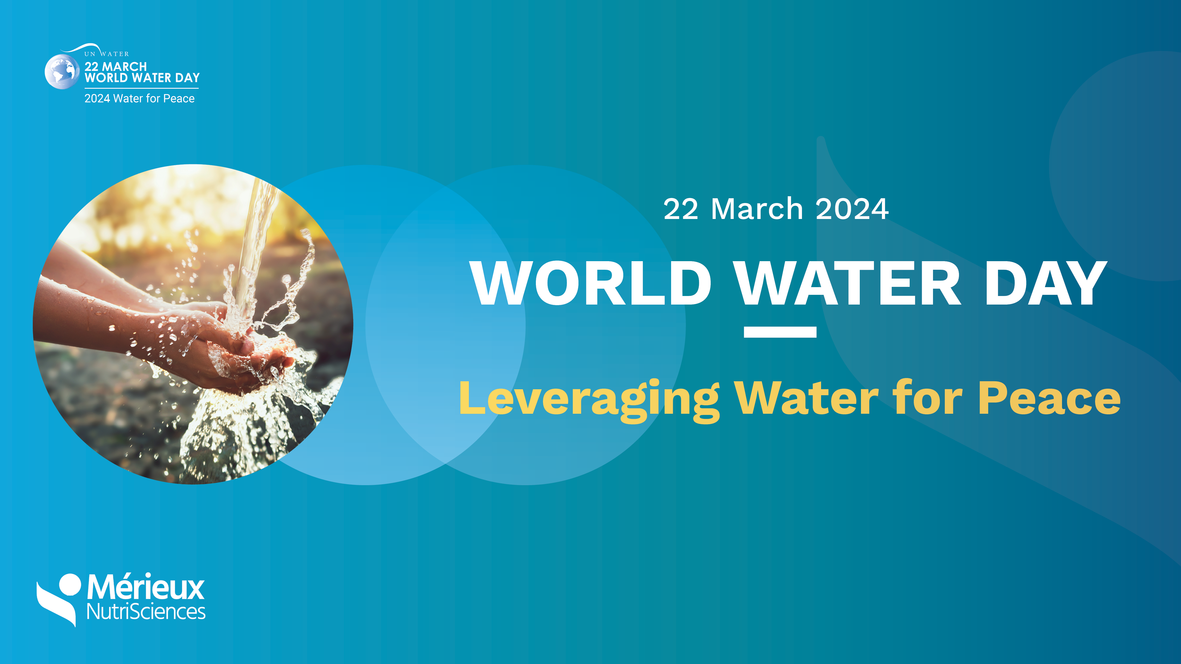 World Water Day: Leveraging Water for Peace